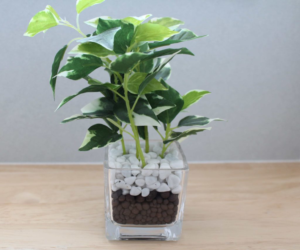 ニトリ　フェイクグリーン　観葉植物　ガラスポット　ペペロミア